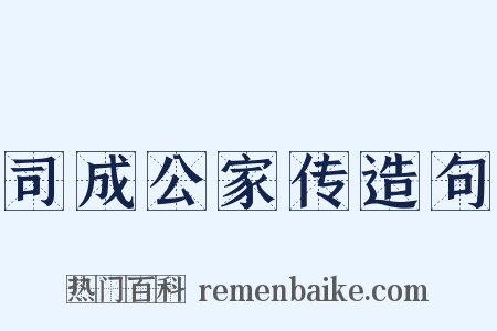 司成公家传造句是什么意思的图片
